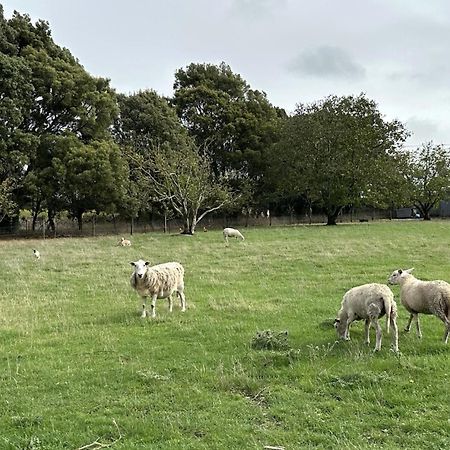 HopeCountry Retreats On Ranzau 9公寓 外观 照片